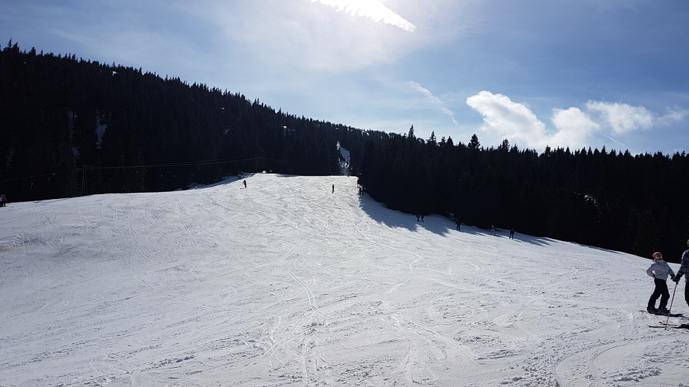 20170304_115154.thumb.jpg.63650d6f3153789dd780696d2e024d87.jpg