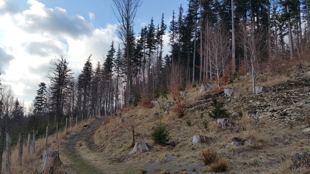 20170311_153219.jpg