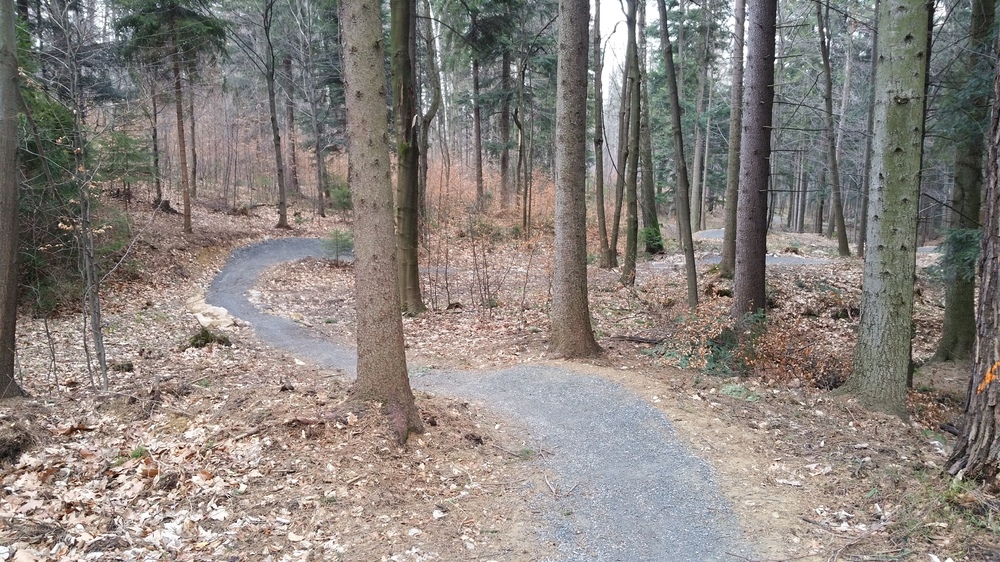 20170311_162117.jpg
