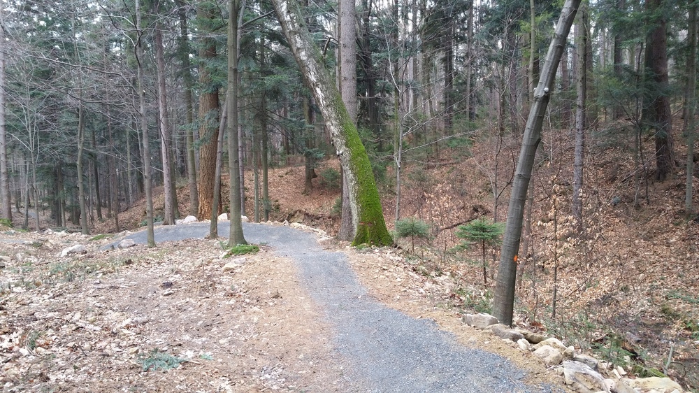 20170311_162316.jpg