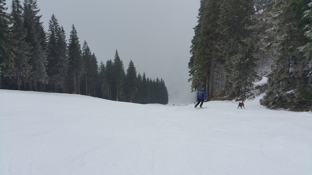 20170312_105513.jpg