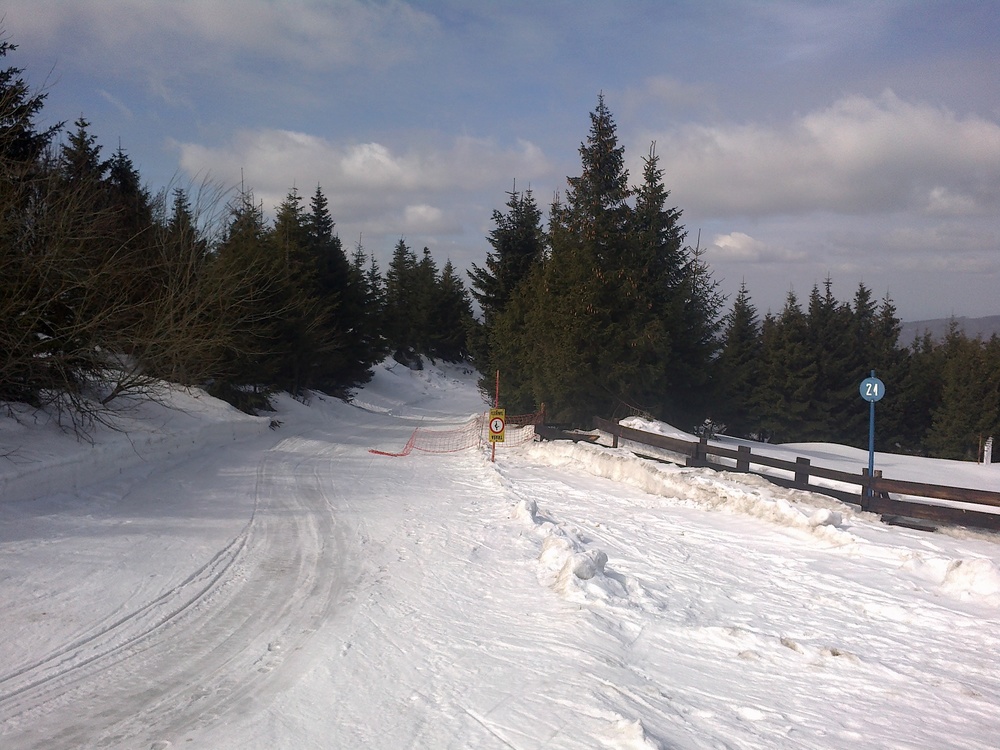 201703162268.jpg
