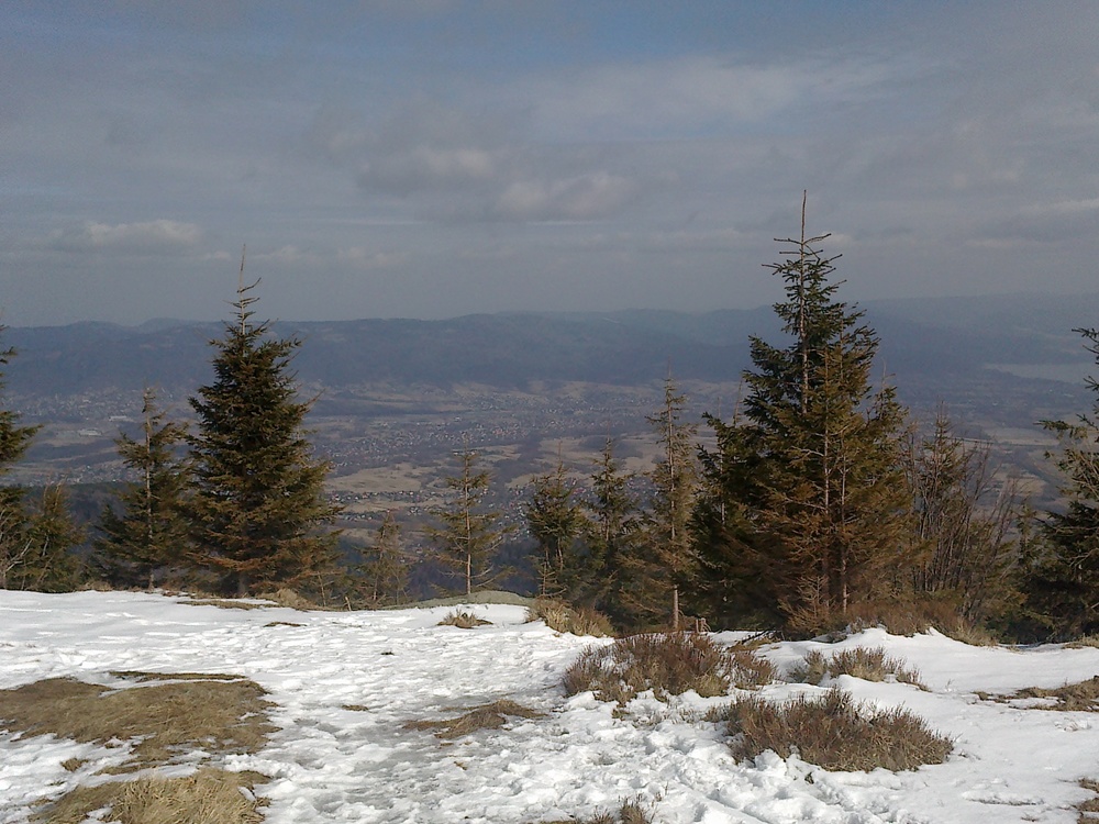 201703162273.jpg
