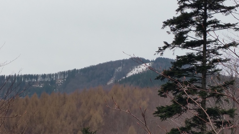 20170317_153652.jpg