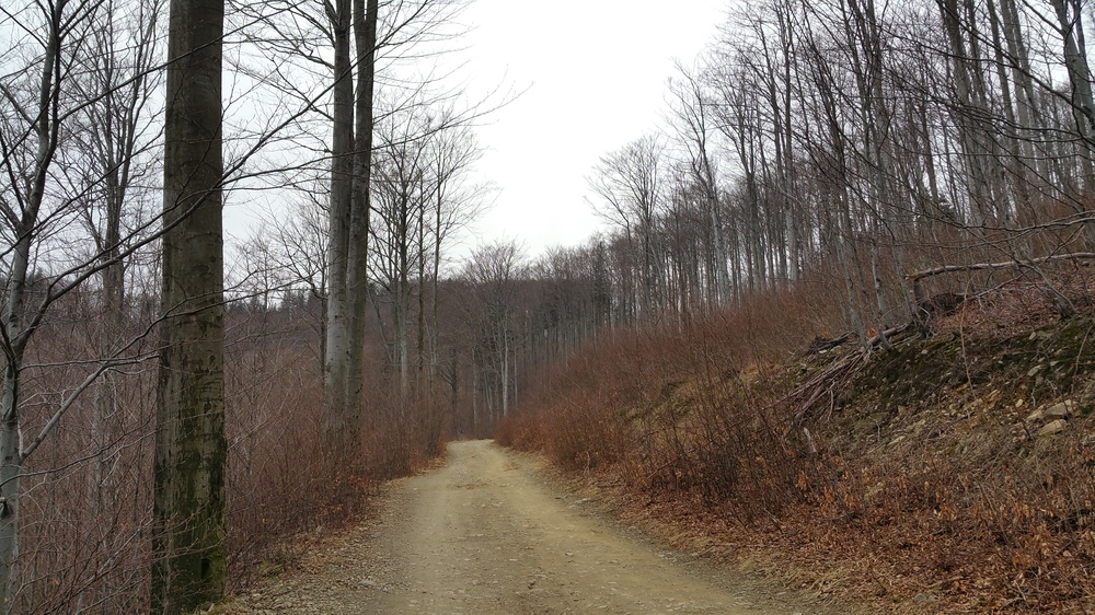 20170317_153702.jpg