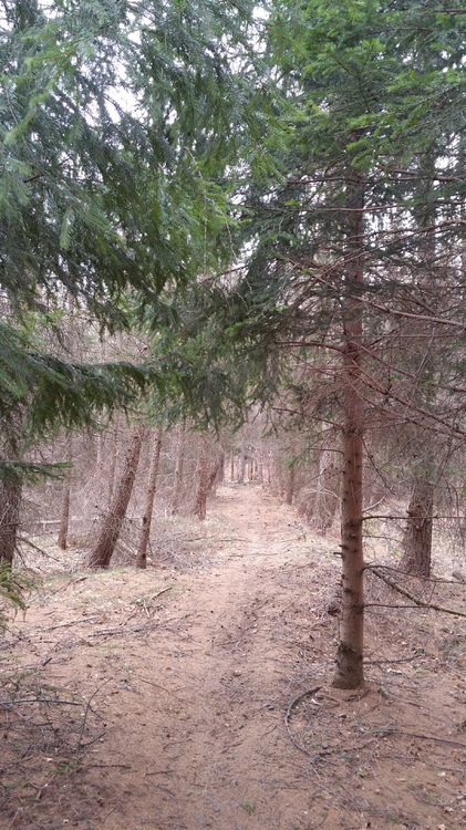 20170317_160730.jpg
