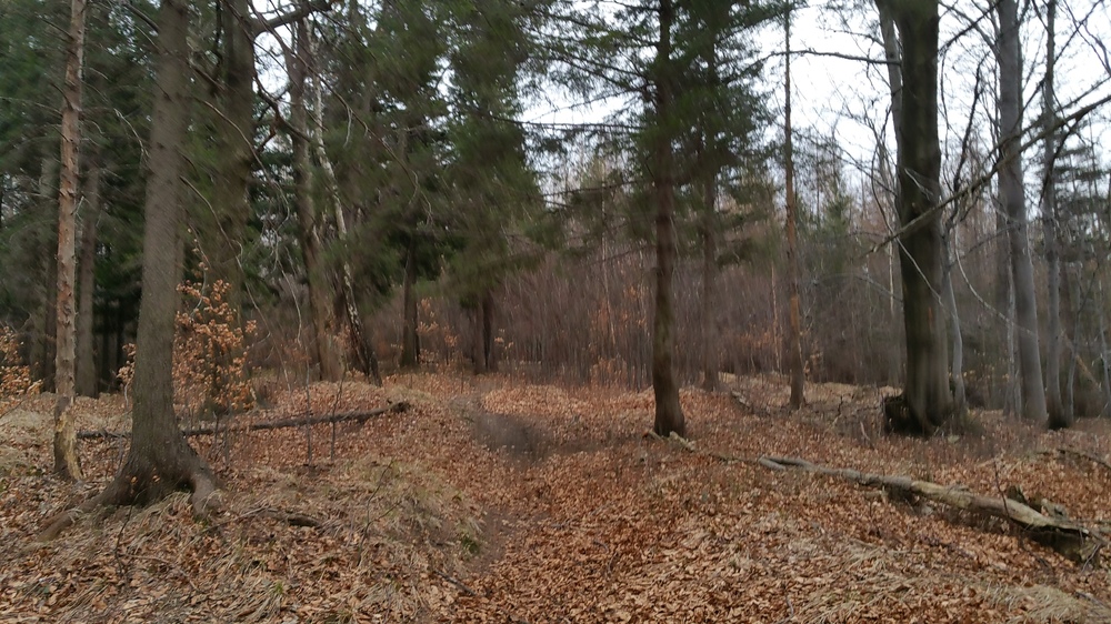 20170317_160832.jpg
