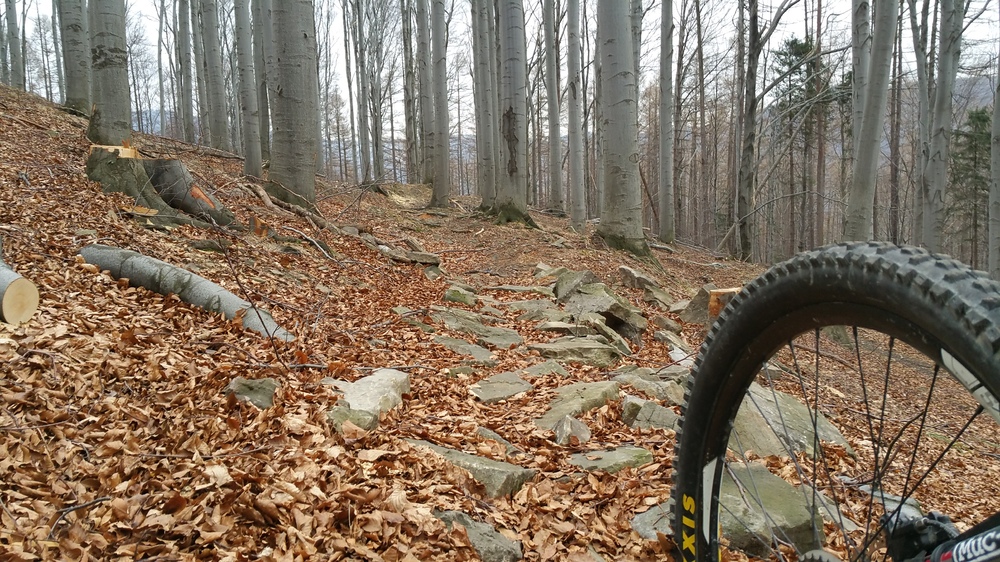20170317_161412.jpg