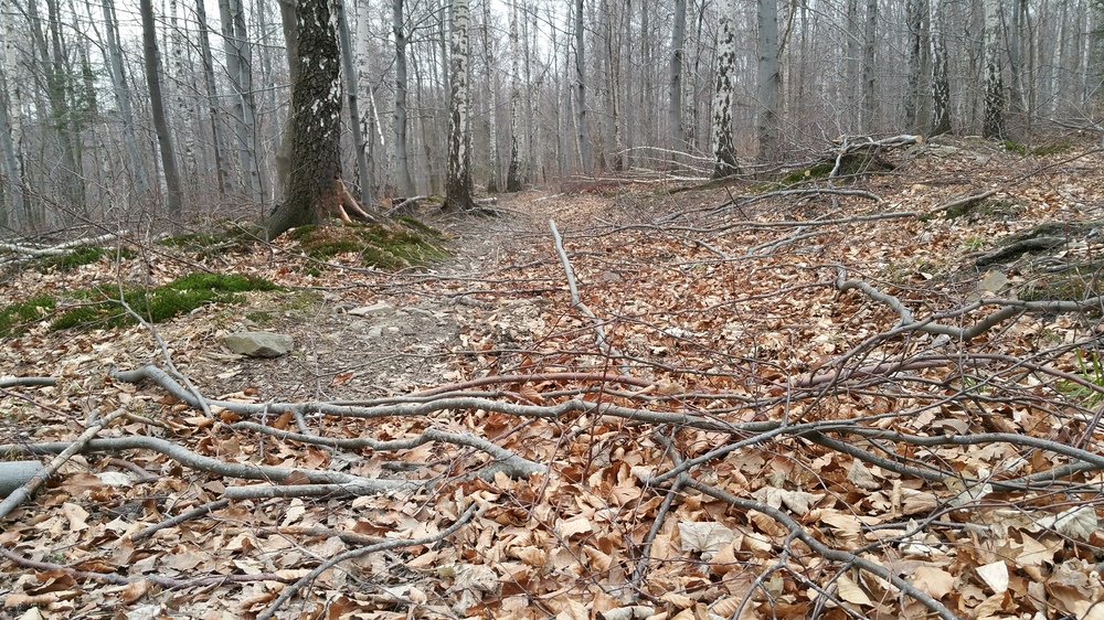 20170317_162245.jpg