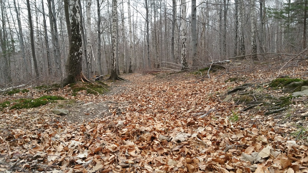 20170317_162951.jpg