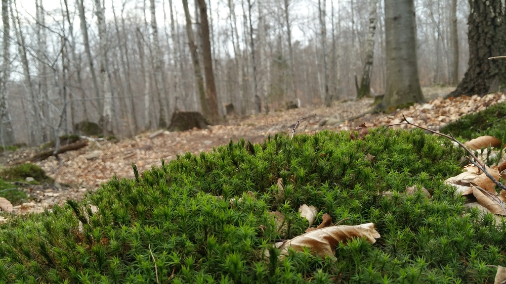 20170317_164515.jpg