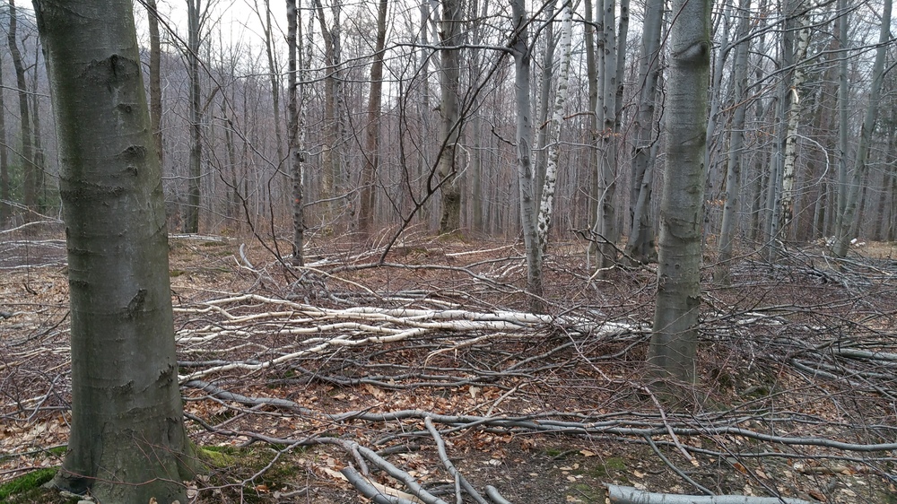 20170317_164804.jpg