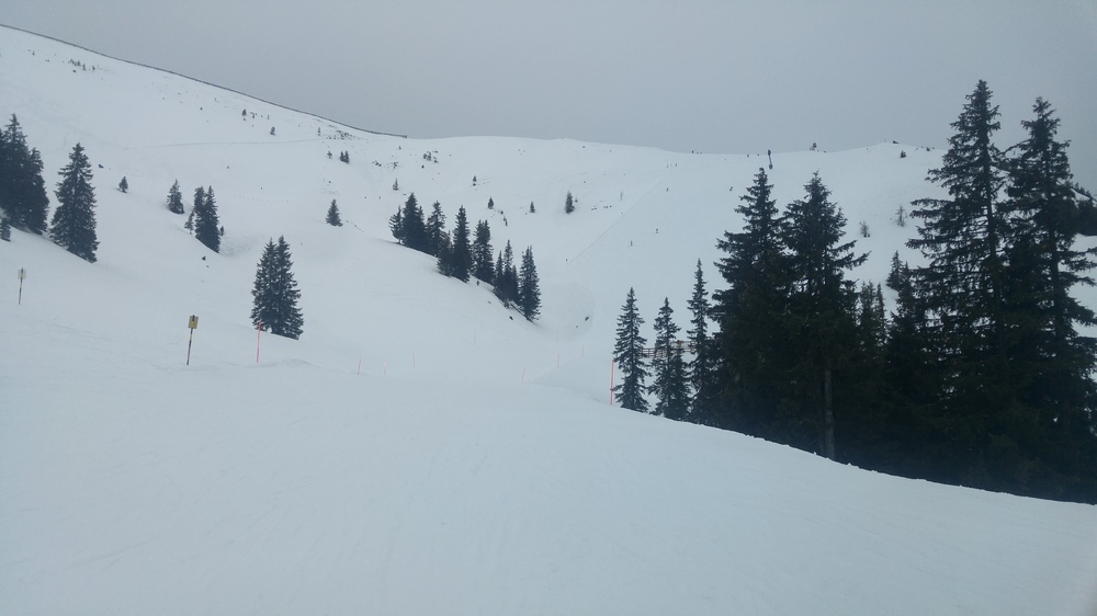 20170319_114510_HDR.jpg