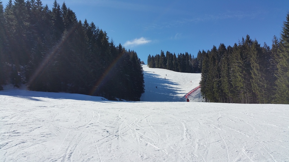 20170319_124729.jpg