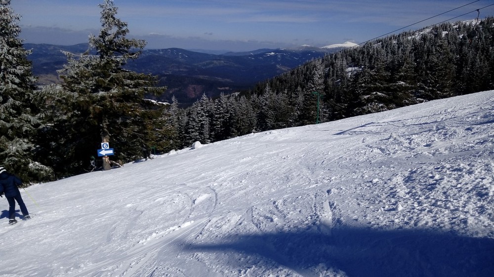 20170319_131945.thumb.jpg.916225d1b51f1f28e133d54096684465.jpg