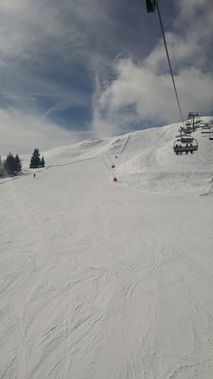 20170320_105454_HDR.jpg