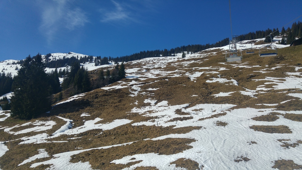 20170320_133256_HDR.jpg