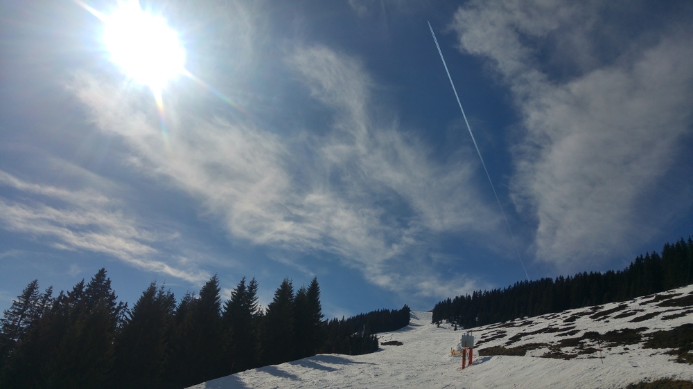 20170320_141800_HDR.jpg