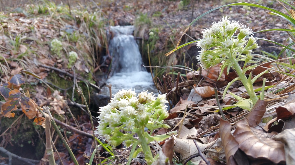 20170325_151847.jpg