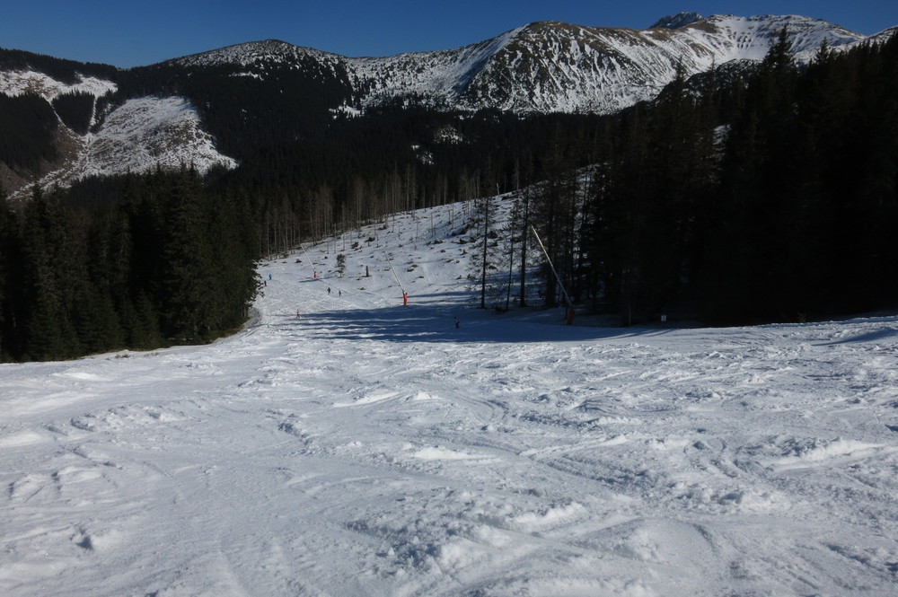 20170326135759.JPG