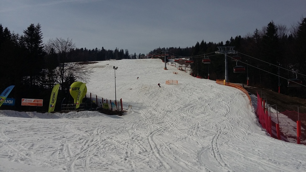 20170317_120957[1].jpg