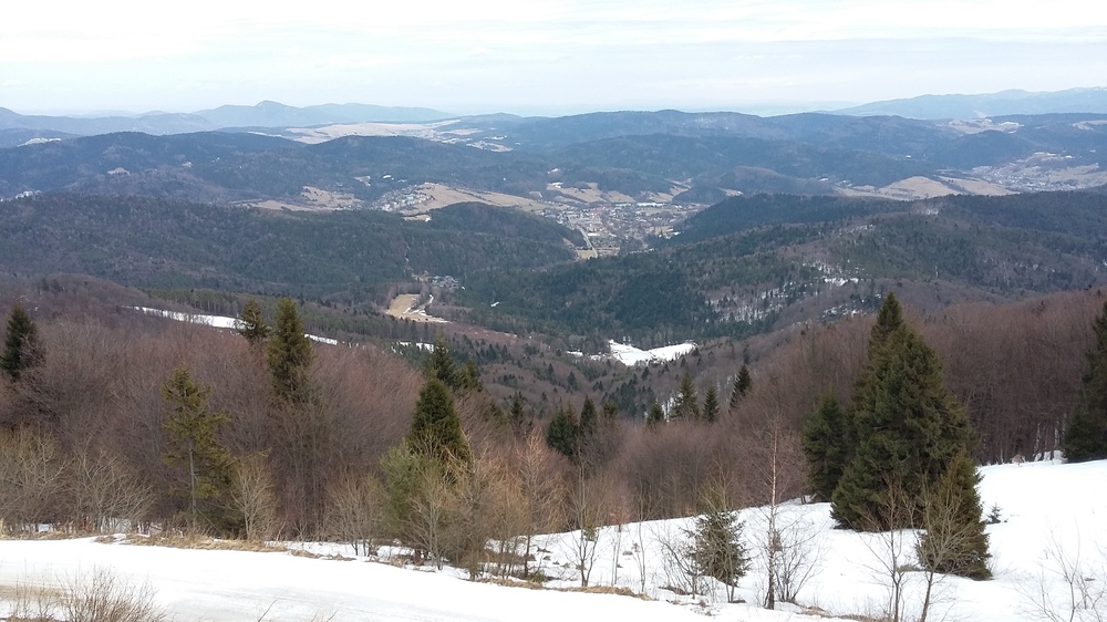 20170316_114516[1].jpg