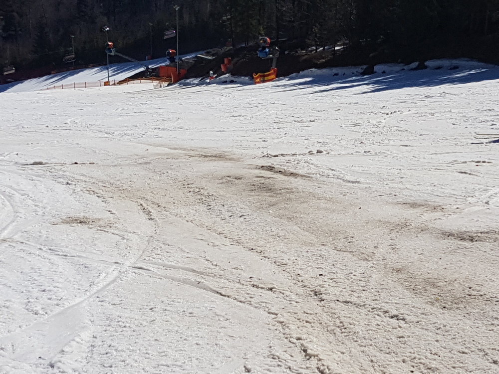 20170328_094314[1].jpg