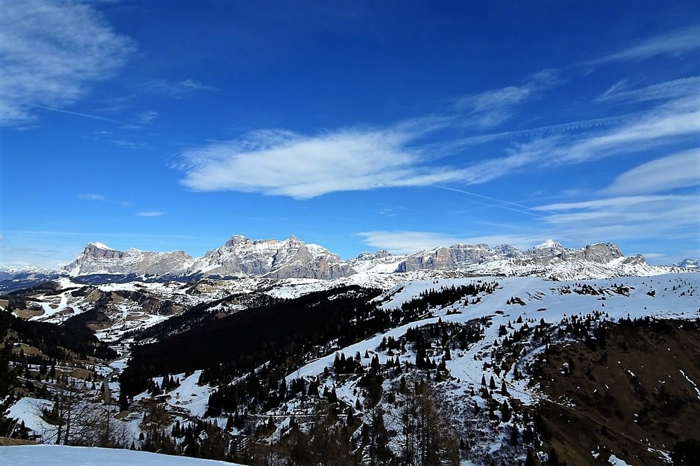 DSC02492.thumb.JPG.f8fe8b35231d37f7db051af76aeca129.JPG