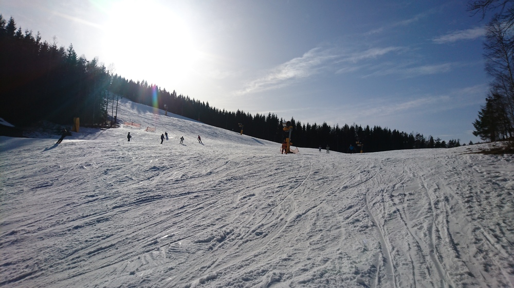 DSC_0501.JPG