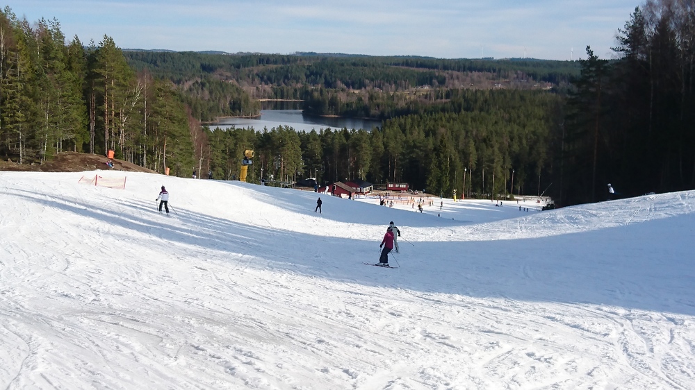 DSC_0503.JPG