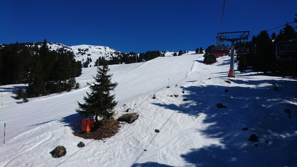 DSC_0520.JPG