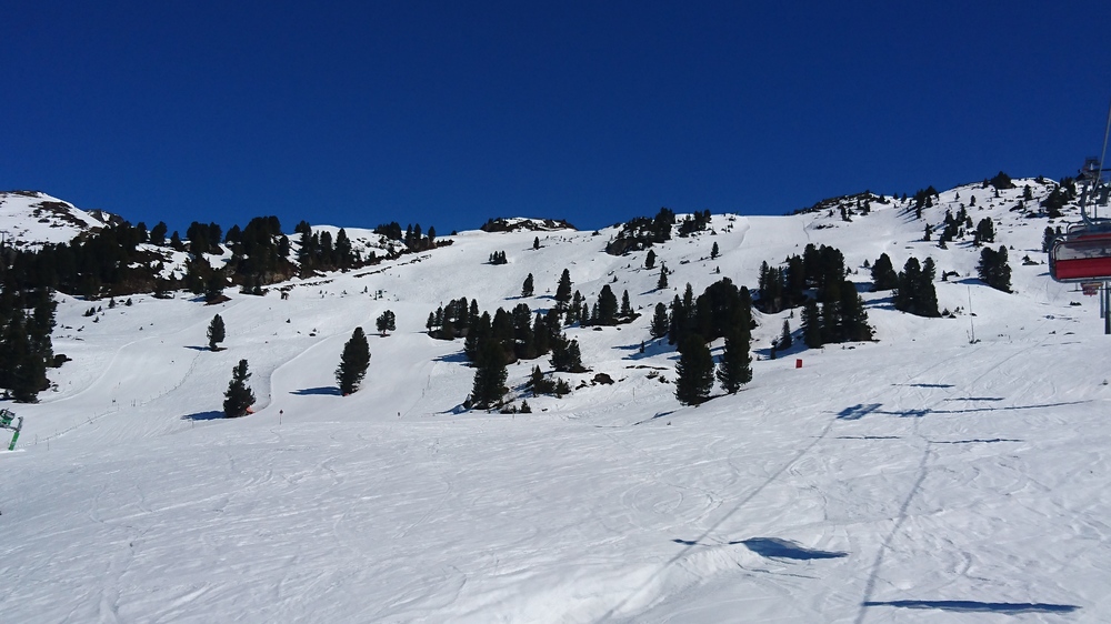DSC_0525.JPG