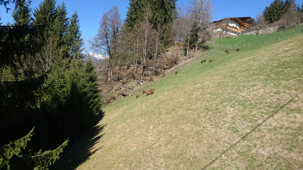 DSC_0541.JPG