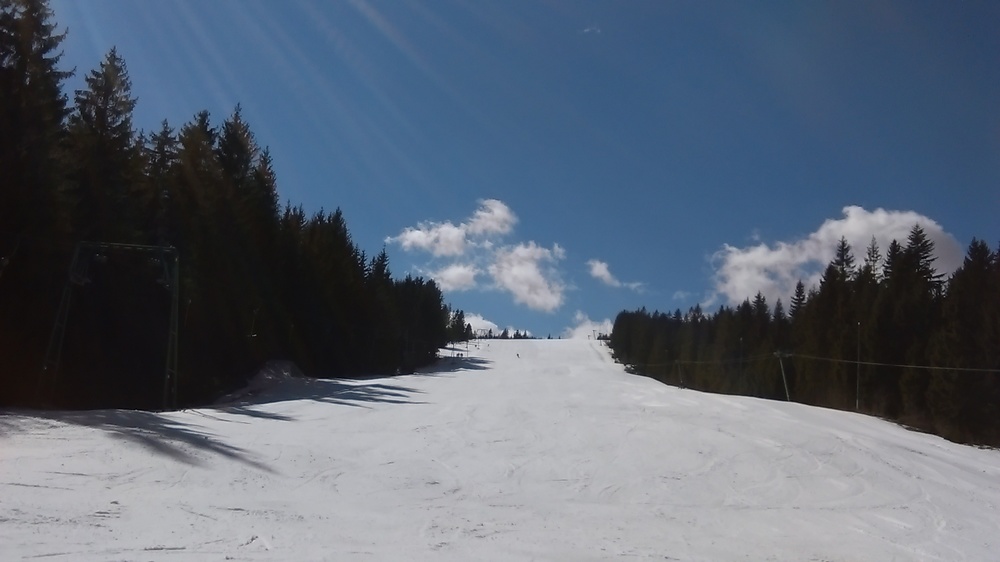 IMAG0414.jpg