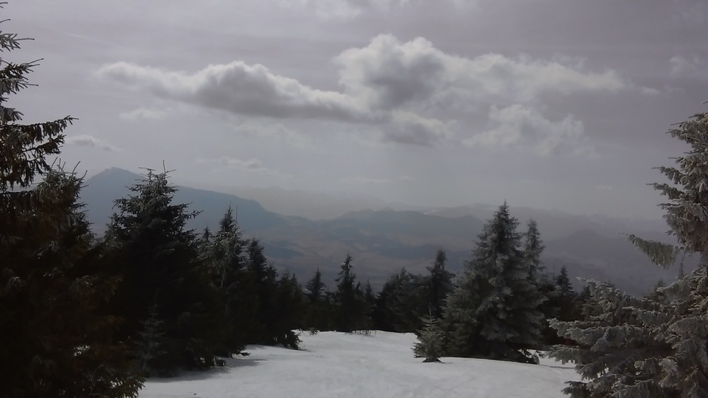 IMAG0439.jpg