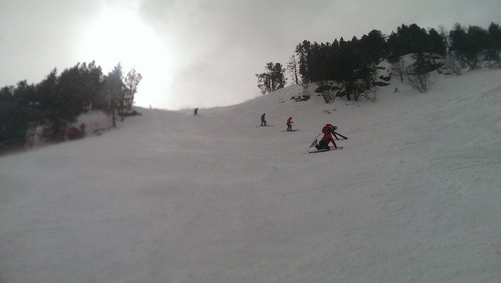 IMAG0441.jpg