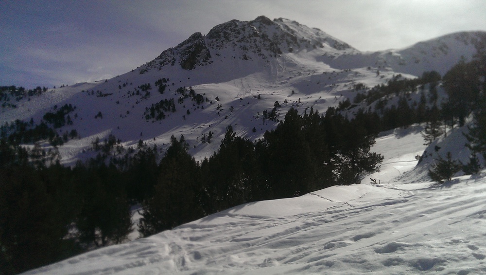 IMAG0478.jpg