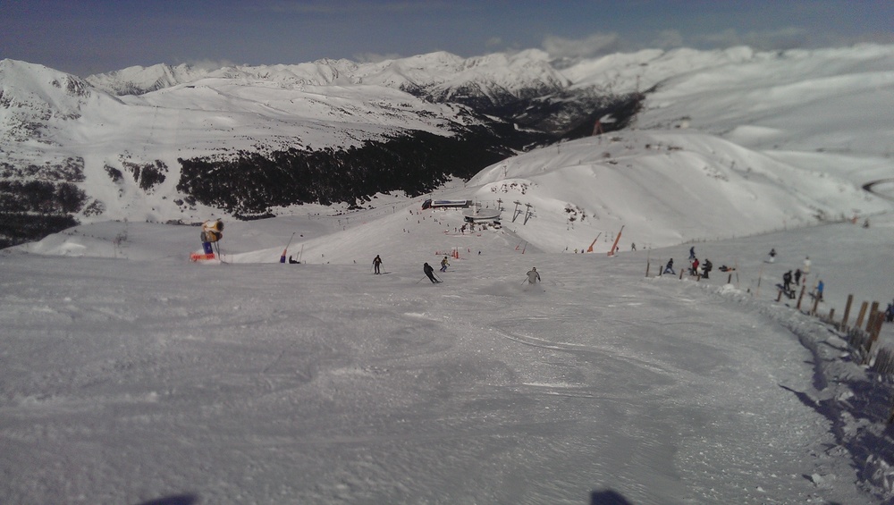 IMAG0487.jpg
