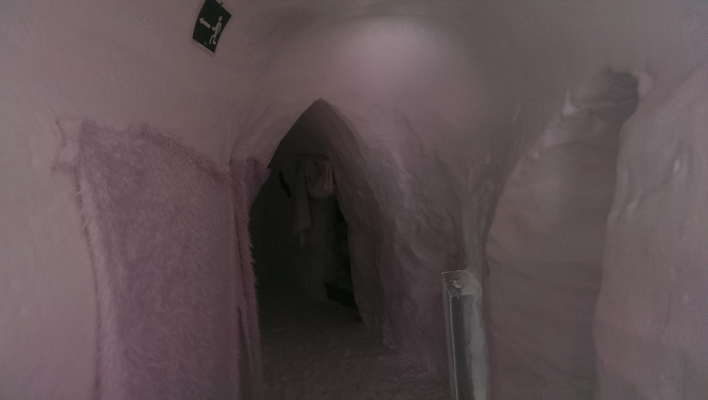 IMAG0498.jpg
