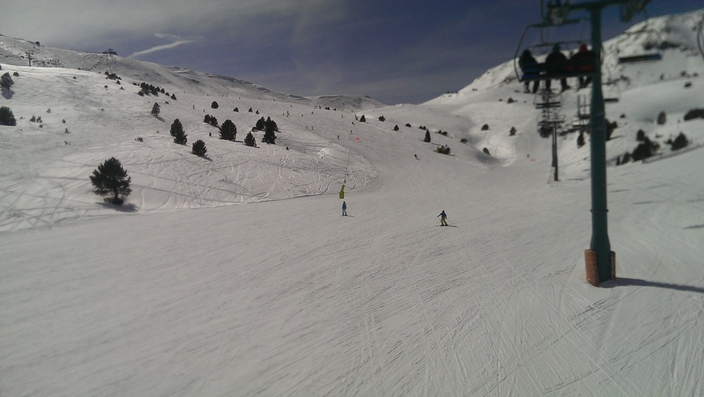 IMAG0505.jpg