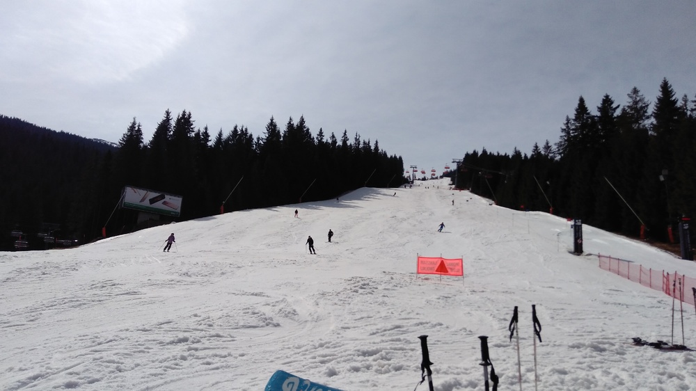 IMG_20170325_112614.jpg
