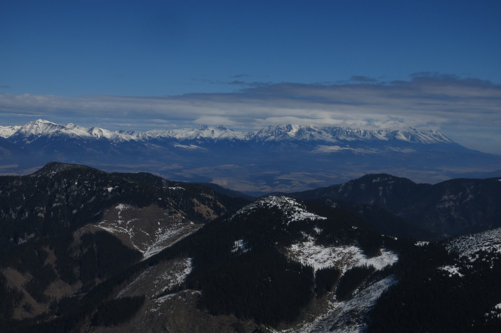 IMG_8255.JPG