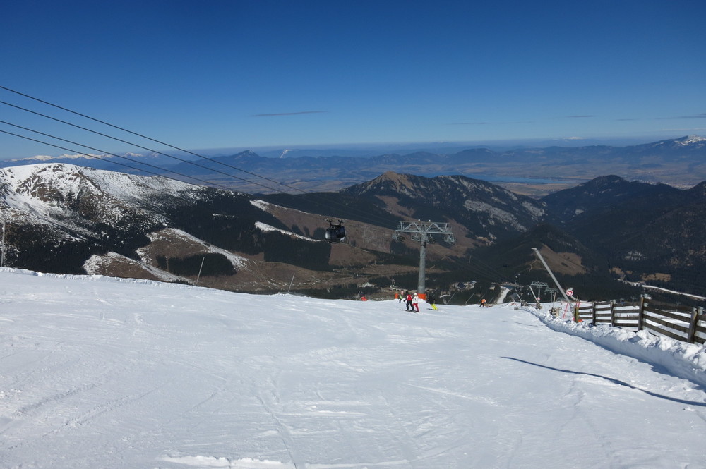 IMG_8259.JPG