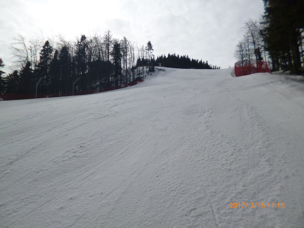 P1040930.JPG