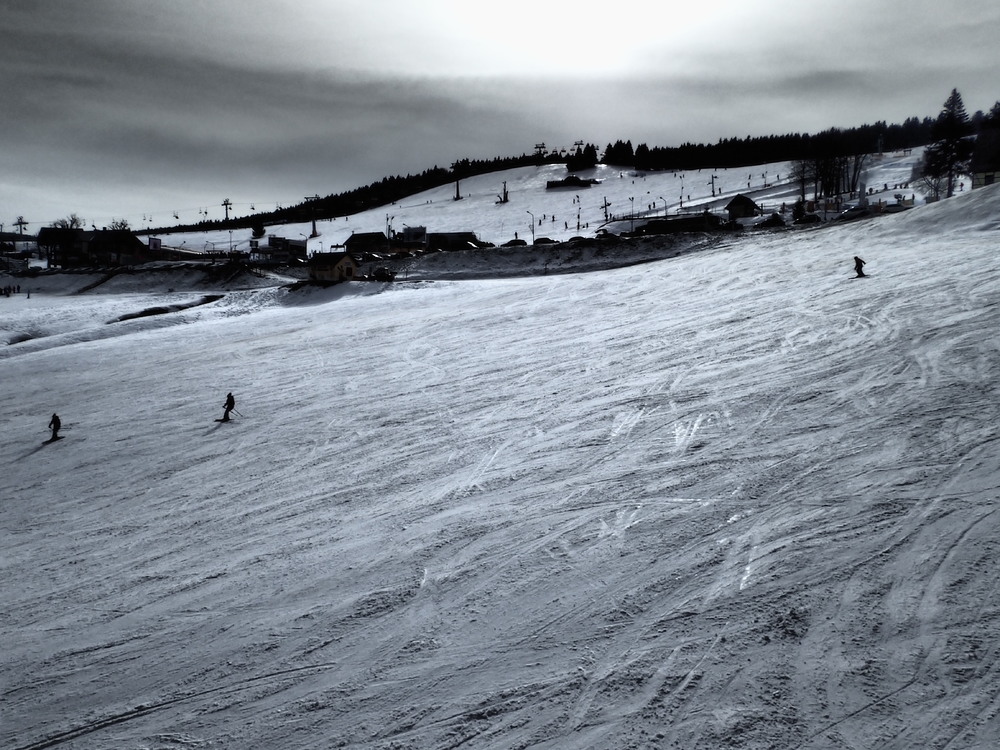 P2264828.thumb.JPG.9185ff92dff13c1ca83921e8a31a0683.JPG