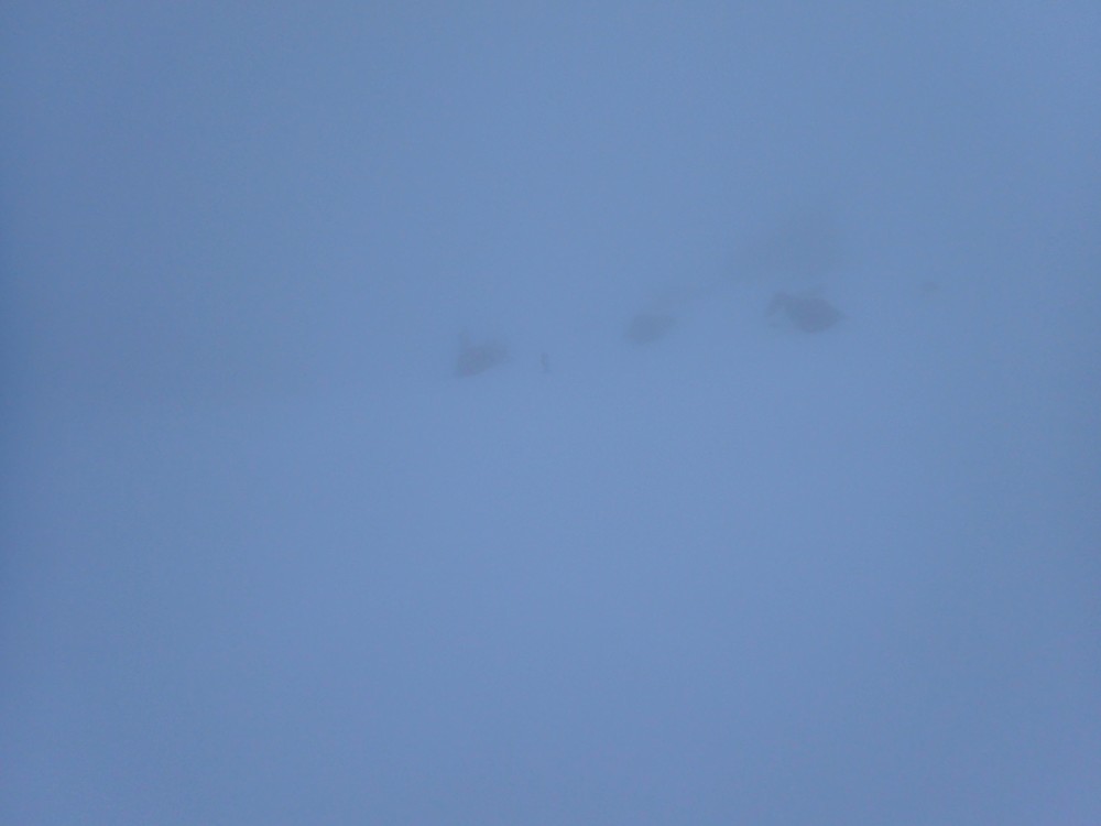 P3105485.thumb.JPG.9721ae03d2dd9da66c7bdc2b78fd386f.JPG