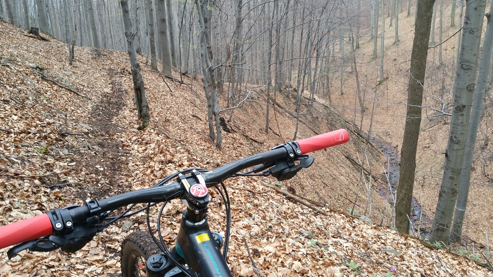 20170409_171303.jpg