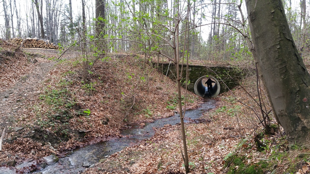 20170409_173133.jpg
