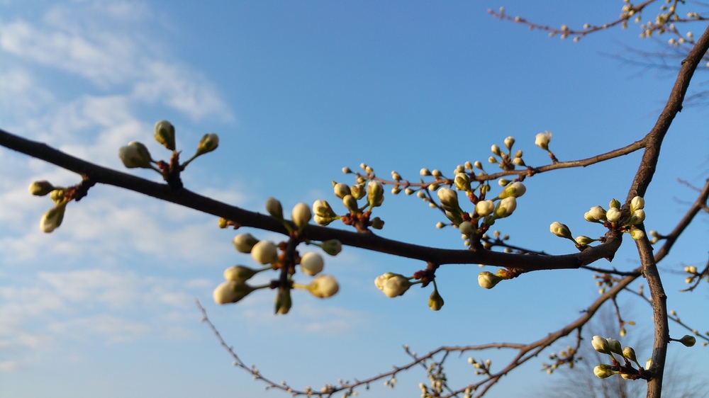 20170409_182833.jpg