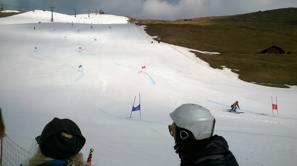 WP_20170401_023[1].jpg